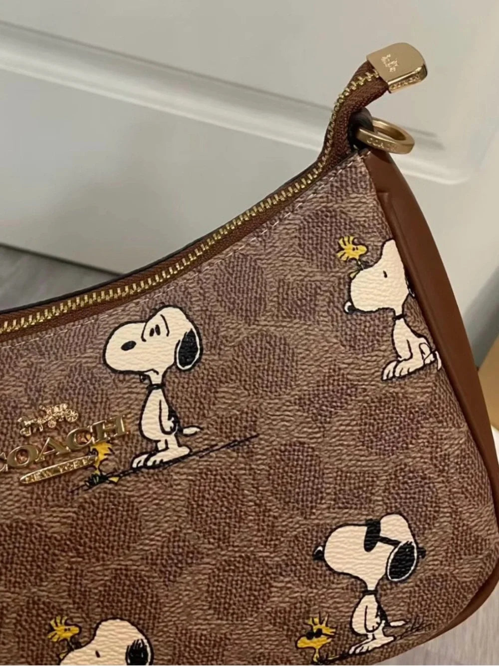 Women's Brown Shoulder Bag – Printed Canvas Everyday Handbag with Adjustable Strap | Coach Teri Snoopy
